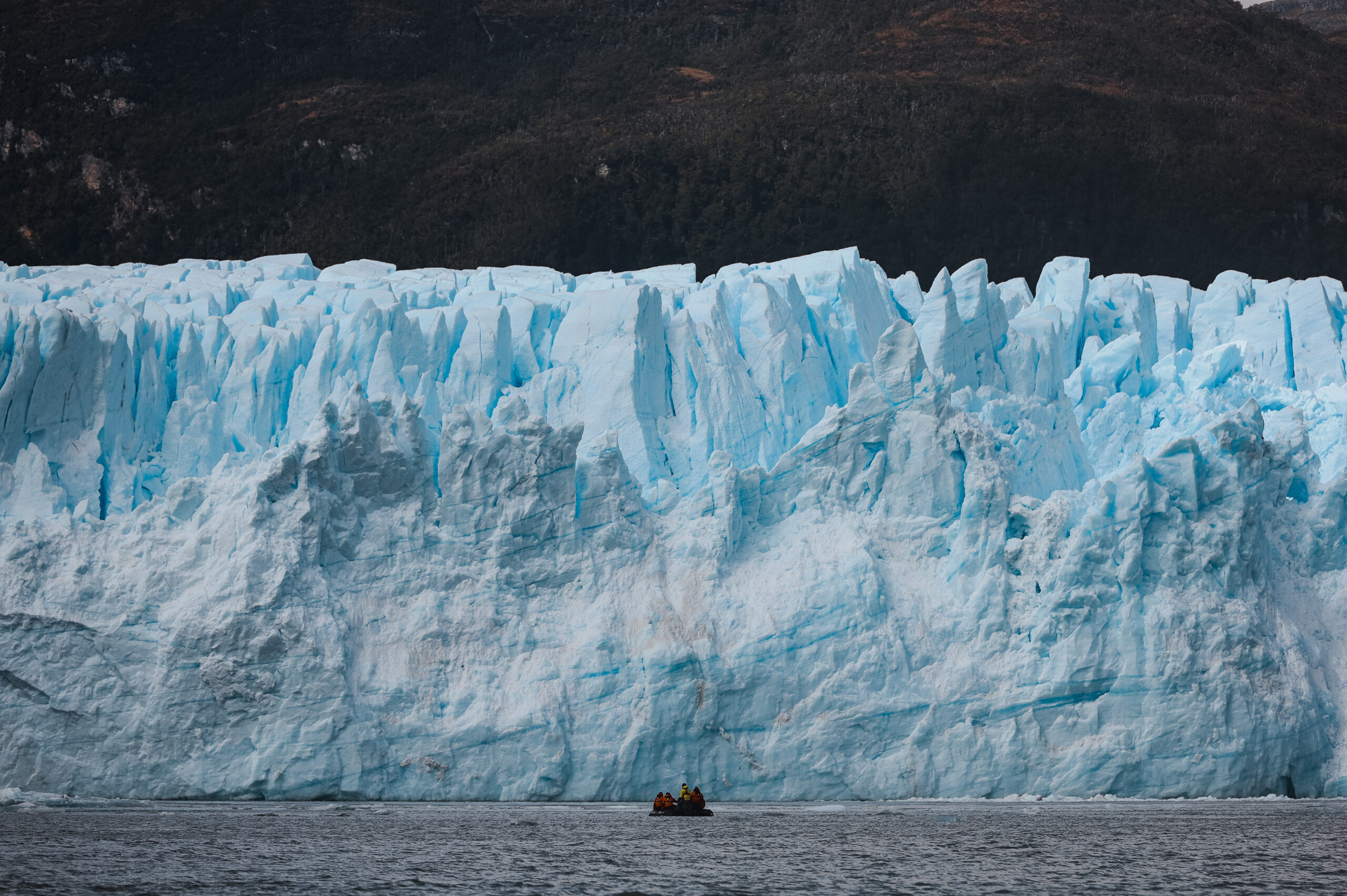 Photo 2023-03-09, 7 35 03 AM