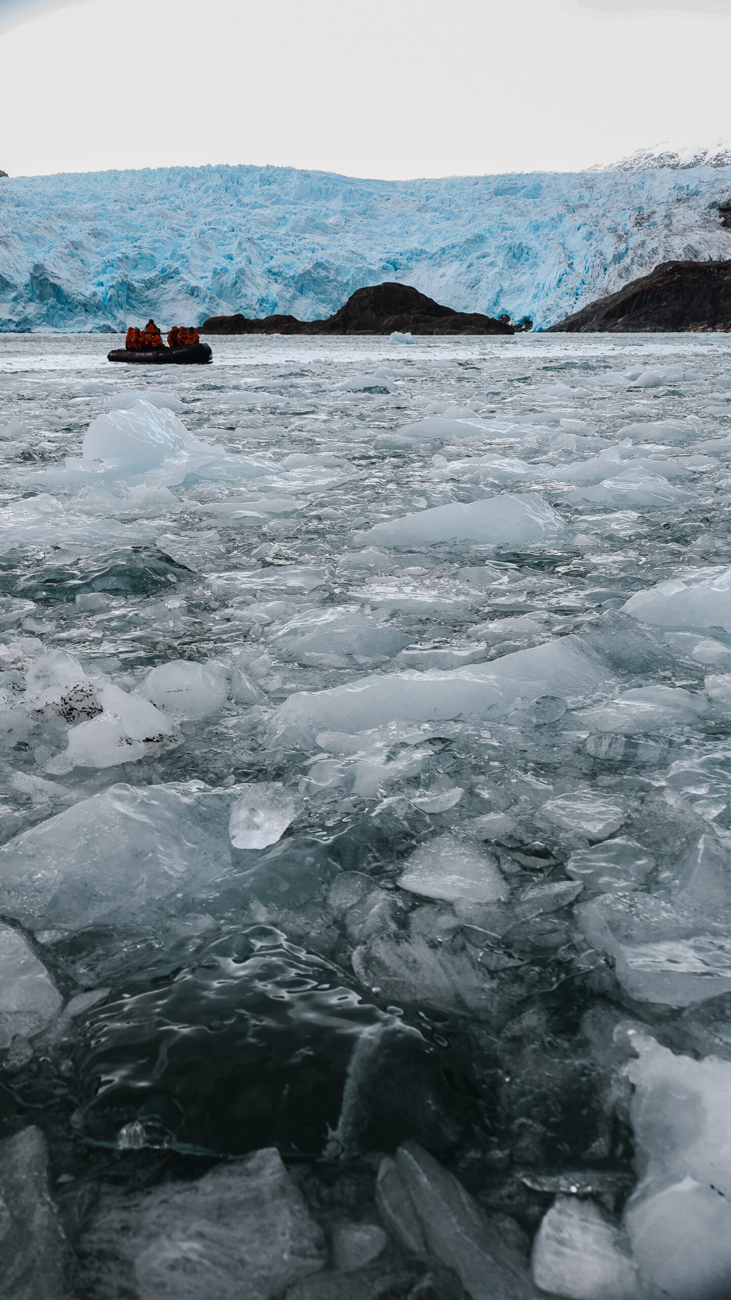 Photo 2023-03-10, 2 46 44 AM