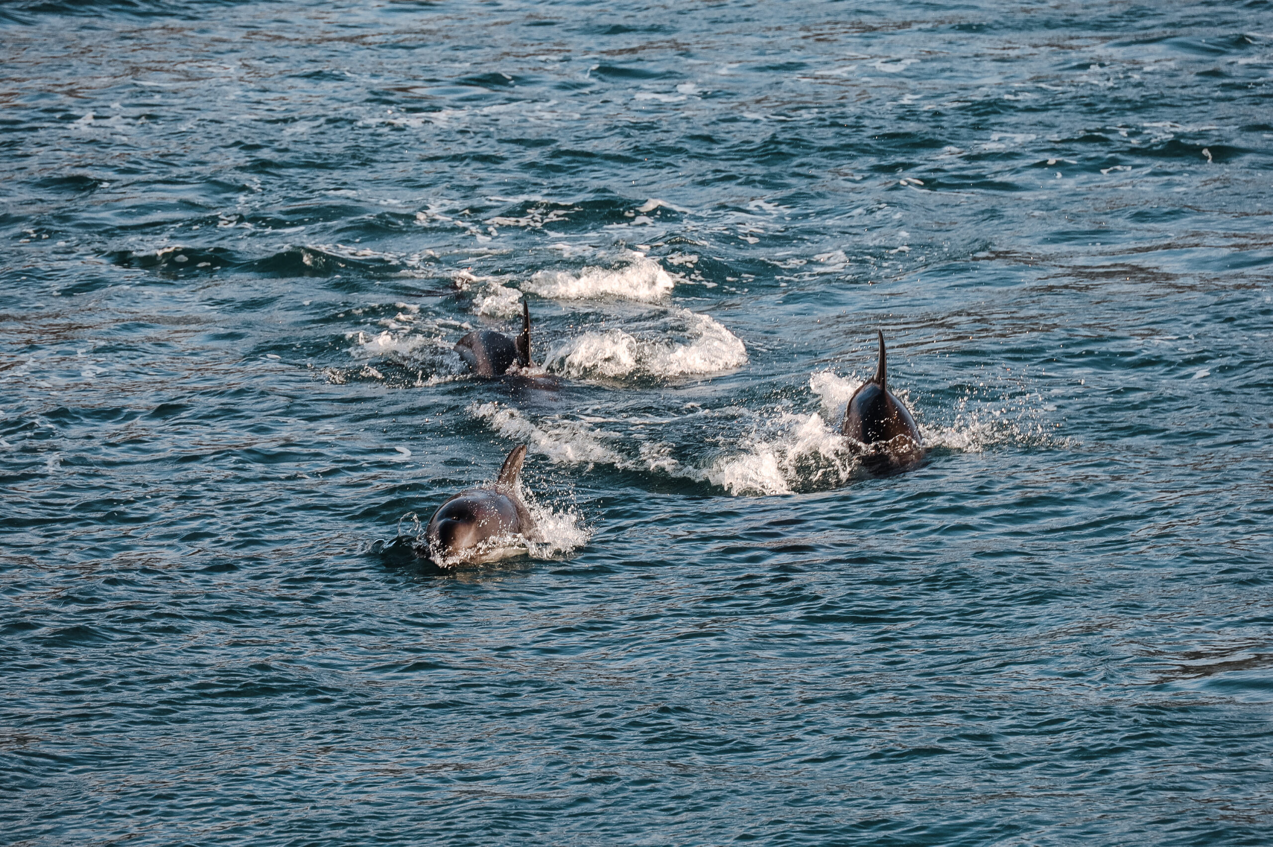 Photo 2023-03-12, 1 06 12 AM