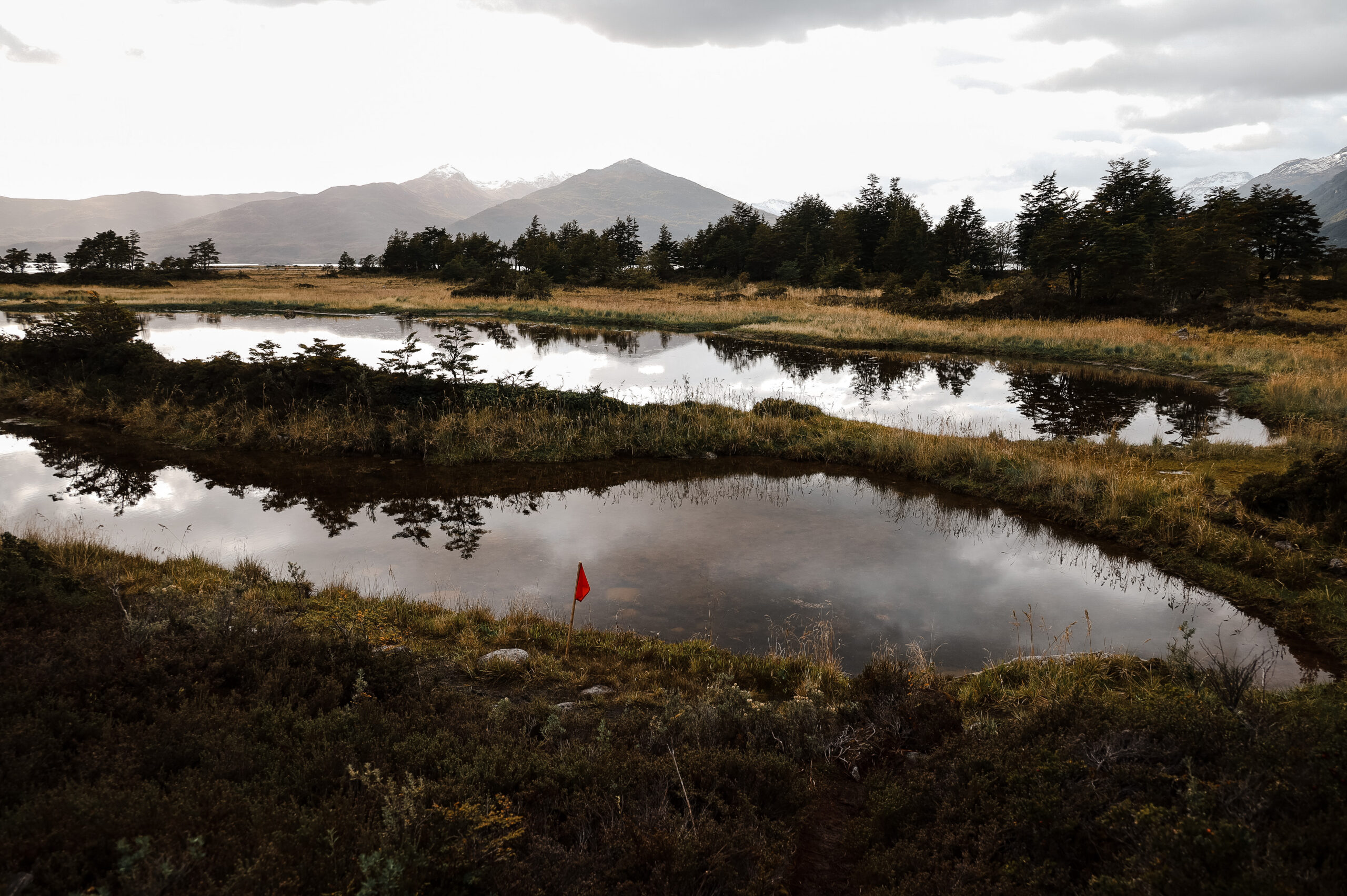 Photo 2023-03-12, 2 13 57 AM