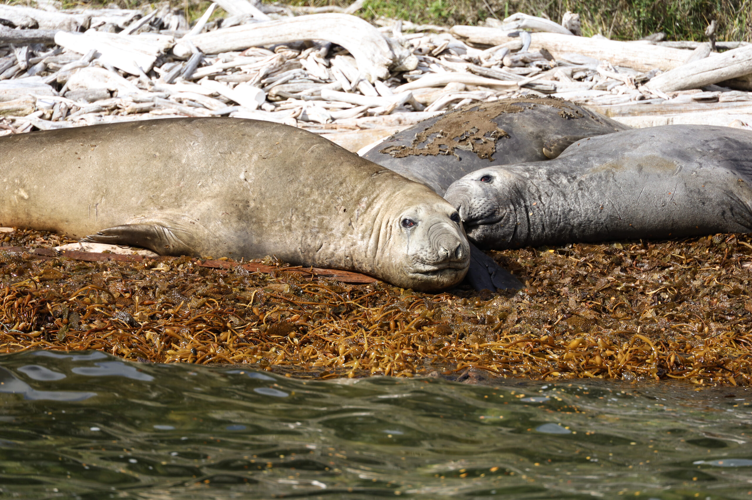 Photo 2023-03-12, 8 07 25 AM