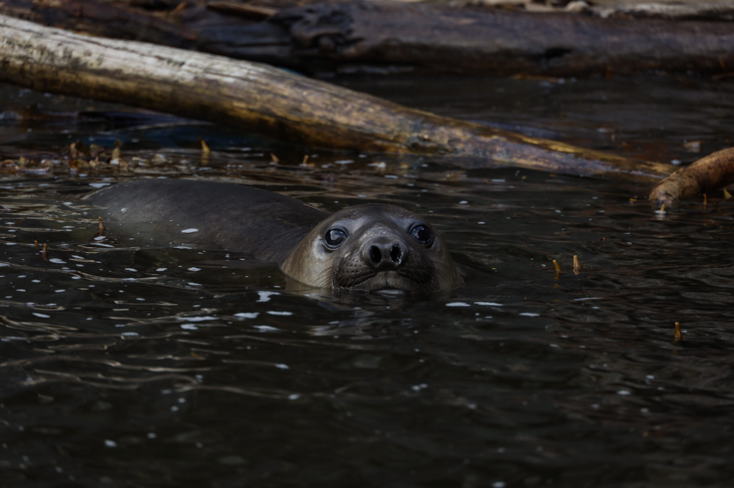 Photo 2023-03-12, 8 15 54 AM