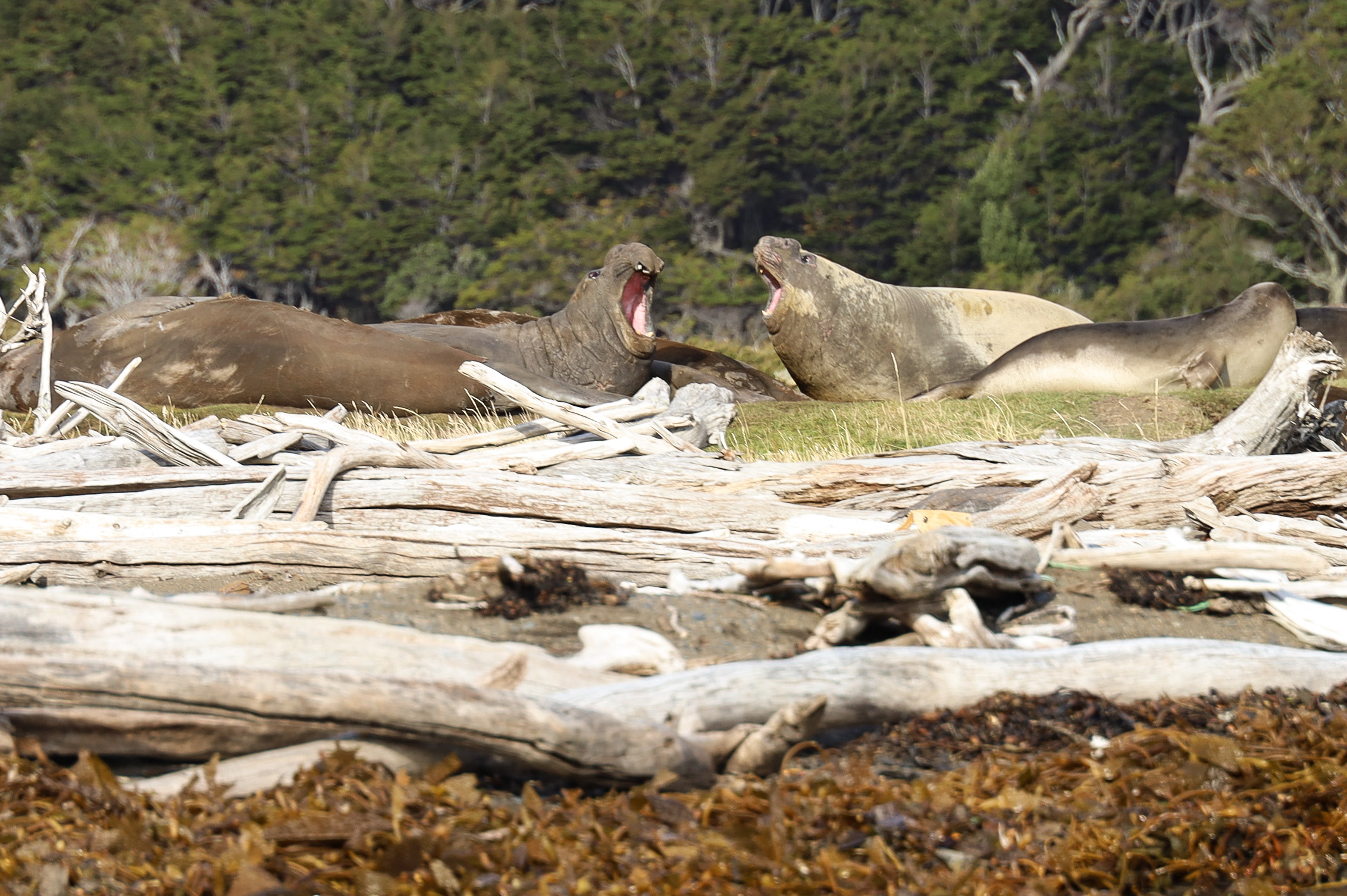 Photo 2023-03-12, 8 20 39 AM