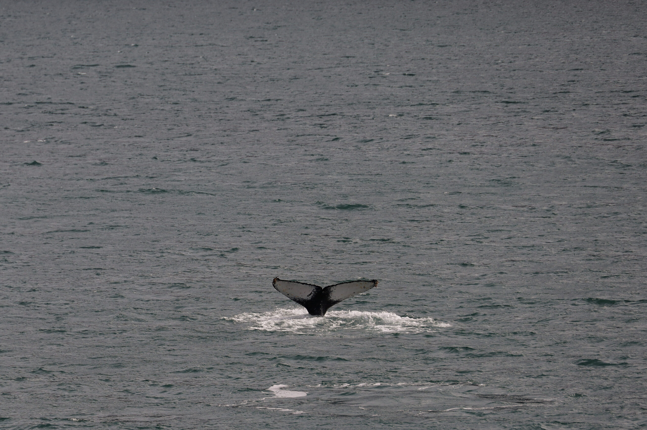 Photo 2023-03-14, 6 13 56 AM