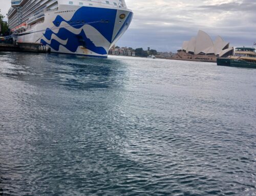 Sailing on: Majestic Princess, Auckland